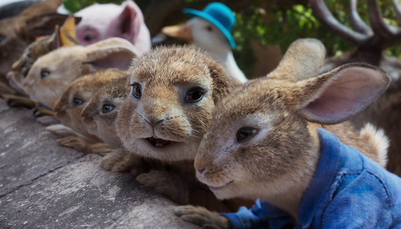 peter hase-sony